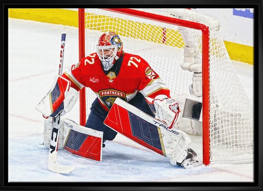 Sergei Bobrovsky 20" x 29" Framed Canvas Panthers 31.5" x 22.5"